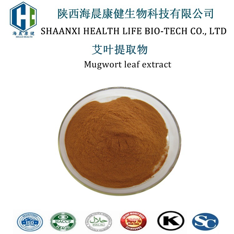 艾叶提取物 10：1 20：1 水溶艾叶萃取粉 现货包邮  海晨康健