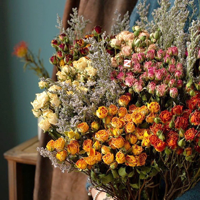 혼합 색상 버블 [무작위 색상 매칭, 인기 판매 권장] 장미 50개 이상