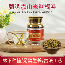 正宗霍山米斛枫斗新鲜米斛枫斗6年生瓶装厂家批发