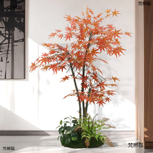 �����쾰�҃ȴ���ֲ��Ƶ��b[���٘�����t������ػ�