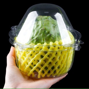 Disposable Sakyamuni Packaging Box, Fruit Packaging Box, Dragon Fruit Transparent Plastic Box, Single Pack, Thickeneded 0.5kg