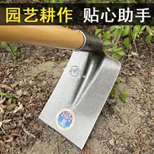 �z�^���÷N���r�×l�z���i������r�߳����z�ژ���ڵ������_��