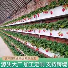 壁挂槽PVC草莓种植槽后墙专用槽高架设备种植槽温室大棚栽培槽