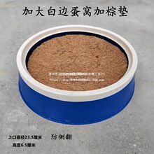 鸽子用品鸽子窝加厚塑料窝加大款式信鸽塑料巢盆鸽用具塑料鸽子窝