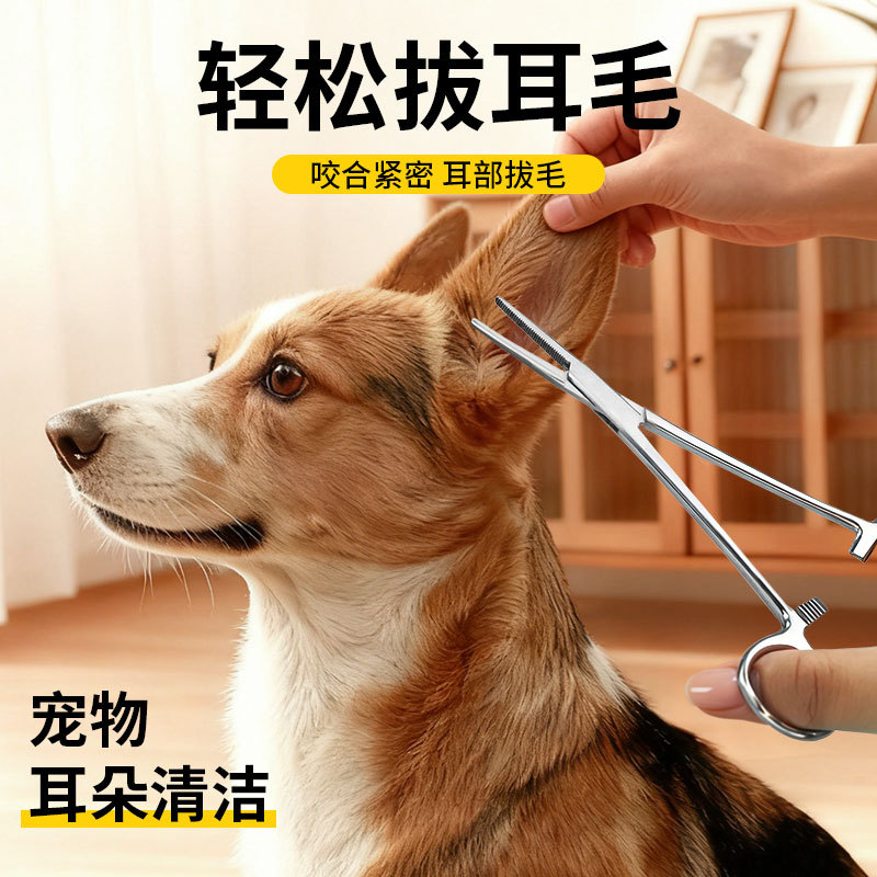 귀털 제거용 집게, 강아지 귀털 제거, 테디 고양이 지혈용 집게, 애완견 귀 청소 용품, 지혈용 집게