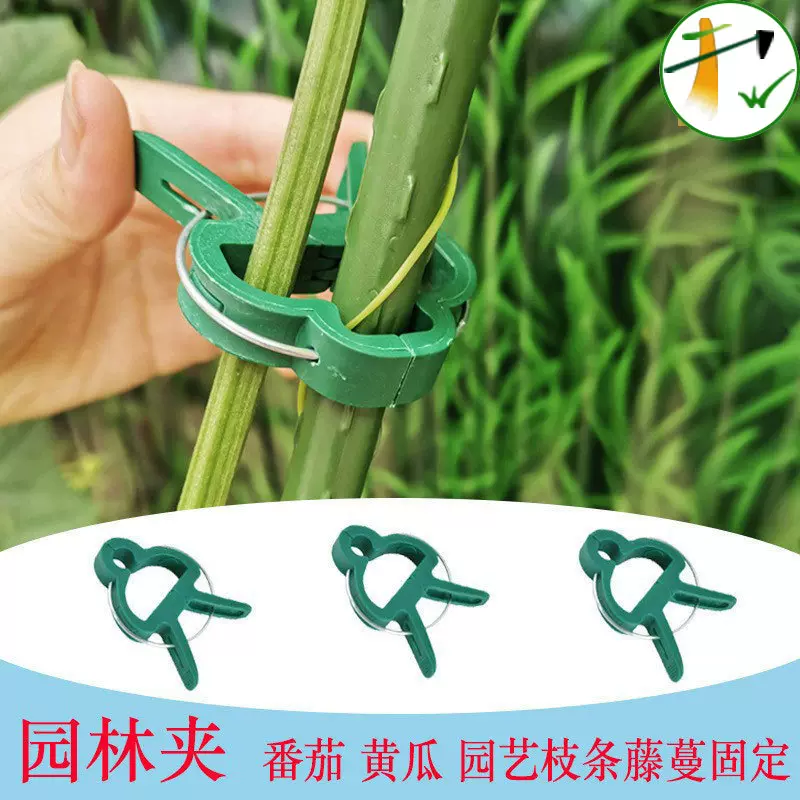 植物园艺夹子花卉固定植物园林夹子套装/园艺夹子/塑料番茄植物夹