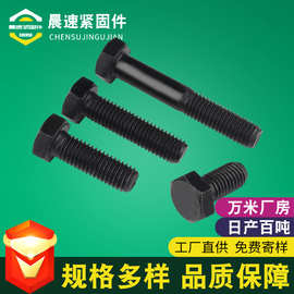 源头工厂8.8级高强度外六角螺栓六角头全牙半牙螺丝钉发黑螺丝钉
