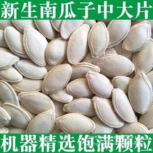 o2024؛ϹдƬϹуɹخa25]