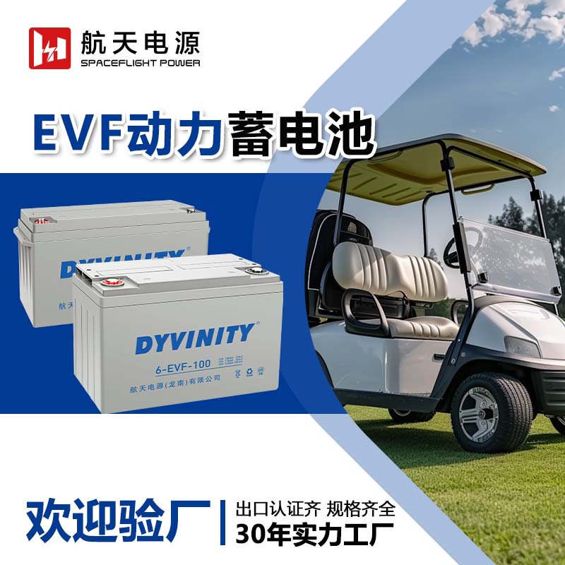 Factory Wholesale Evf 12V 8V 6V Lead-Acid Power Batteries Suitable for Golf Carts and Cleaning Vehicles