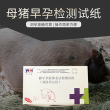 独立包装猪测纸母猪用怀孕检测卡兽用测孕纸畜牧用品量大从优