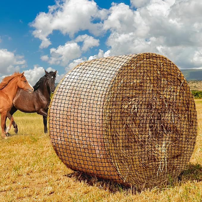 917DXqJ0eqL._AC_SX679_