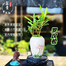 _h辰Sl͏d^^Ȥζԃ՚B