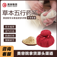 美容院五行草本药拓身体肩颈缓解疲劳热敷包泰式按摩球五色药包