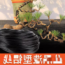 �辰�������z�_�h�������X���@�֘������Ͷ������F�zܛ�X�z�@ˇ��