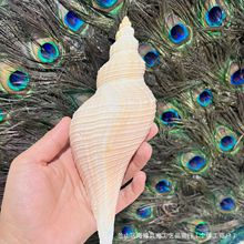 ��Ȼ������  �L����  �����~���쾰�b��̄նYƷ�����F�����s