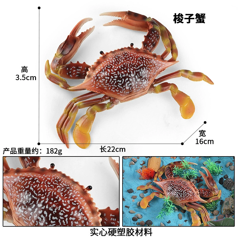 Realistic big marine toy, king crab