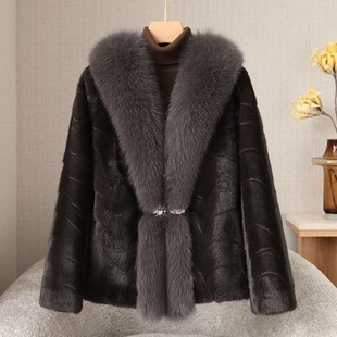 2026����ëƤ�݋������b���׺����¿�С����������ˮ���qƤëһ�w