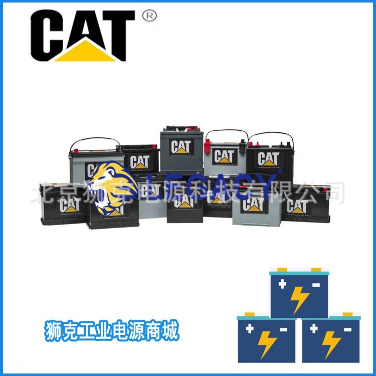 CAT卡特彼勒蓄电池8C-3622：12V 4DLT BCI湿电池