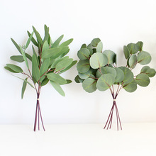 ȼ~pָ3dܛzٻ~滨~ӾGֲGɫֲ