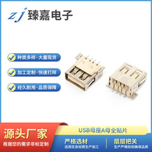 USBĸ��Aĸȫ�NƬ1.2��λ��-1.0��λ�����x��o߅-��߅���x���^