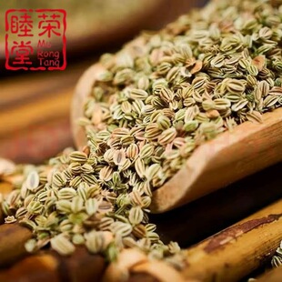 �ߴ�����؛���]���l�ߴ��ѸɃ��Y�x�����F؛�������NҎ���ߴ���