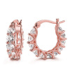 Fashionable brand earrings, zirconium, french style