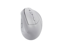 Wireless battery model-white