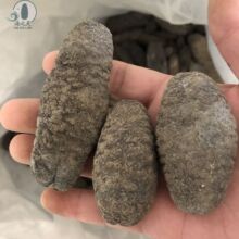 һ�����l��ѥ����ѥ������ѥ��ѩ���������l���ȫ���Ƶꌣ��25�^