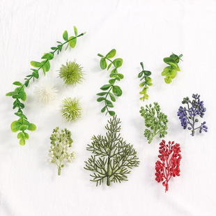 ����Gֲ��������ȼ���֦����ֲ����@��֦�쾰ާ��ɰ��~��ֲ��