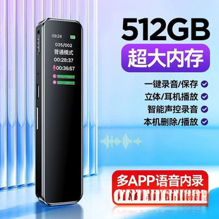 Student Class Recorder Recorder Ultra-Long Standby Professional Wholesale Recorder Zhiku Portable Small High-Definition