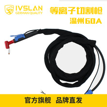 ivslanͬ��60���x�Ӹ���x���и�C�������