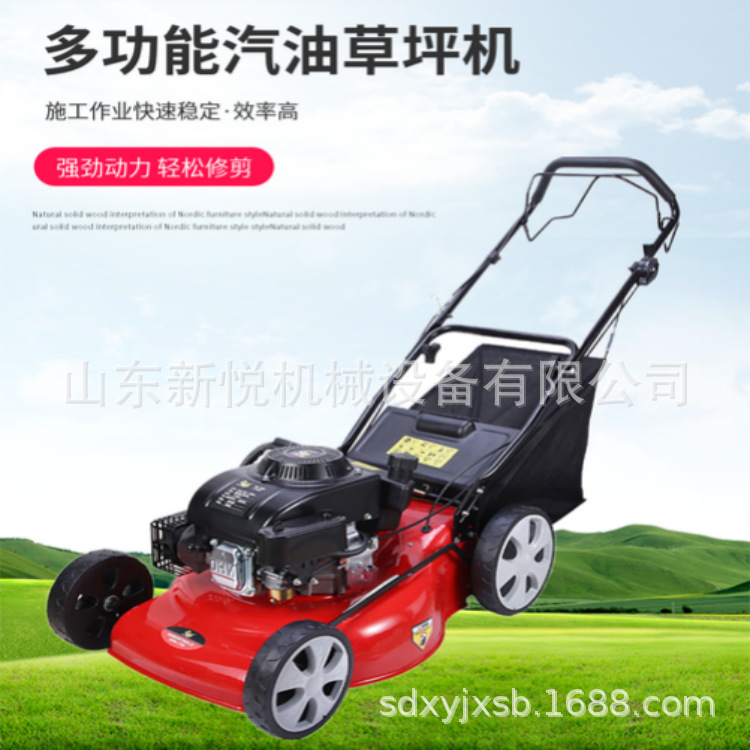 20寸汽油草坪机 学校绿化剪草机 四冲程本田宗申草坪机