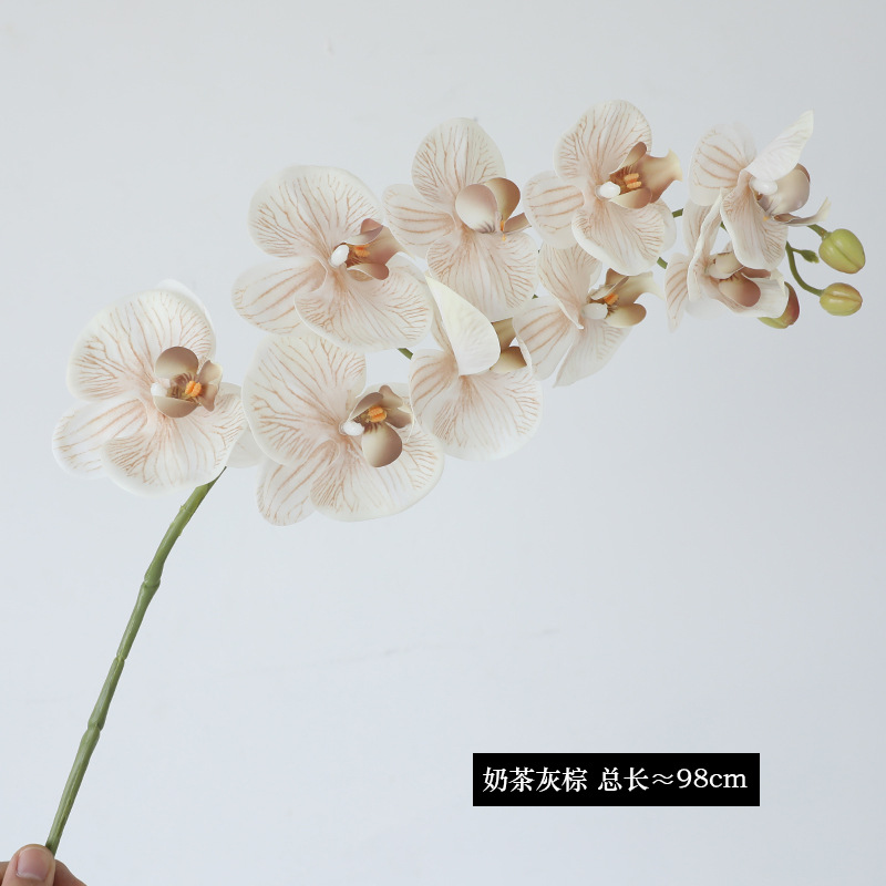 밀크티 그레이 브라운