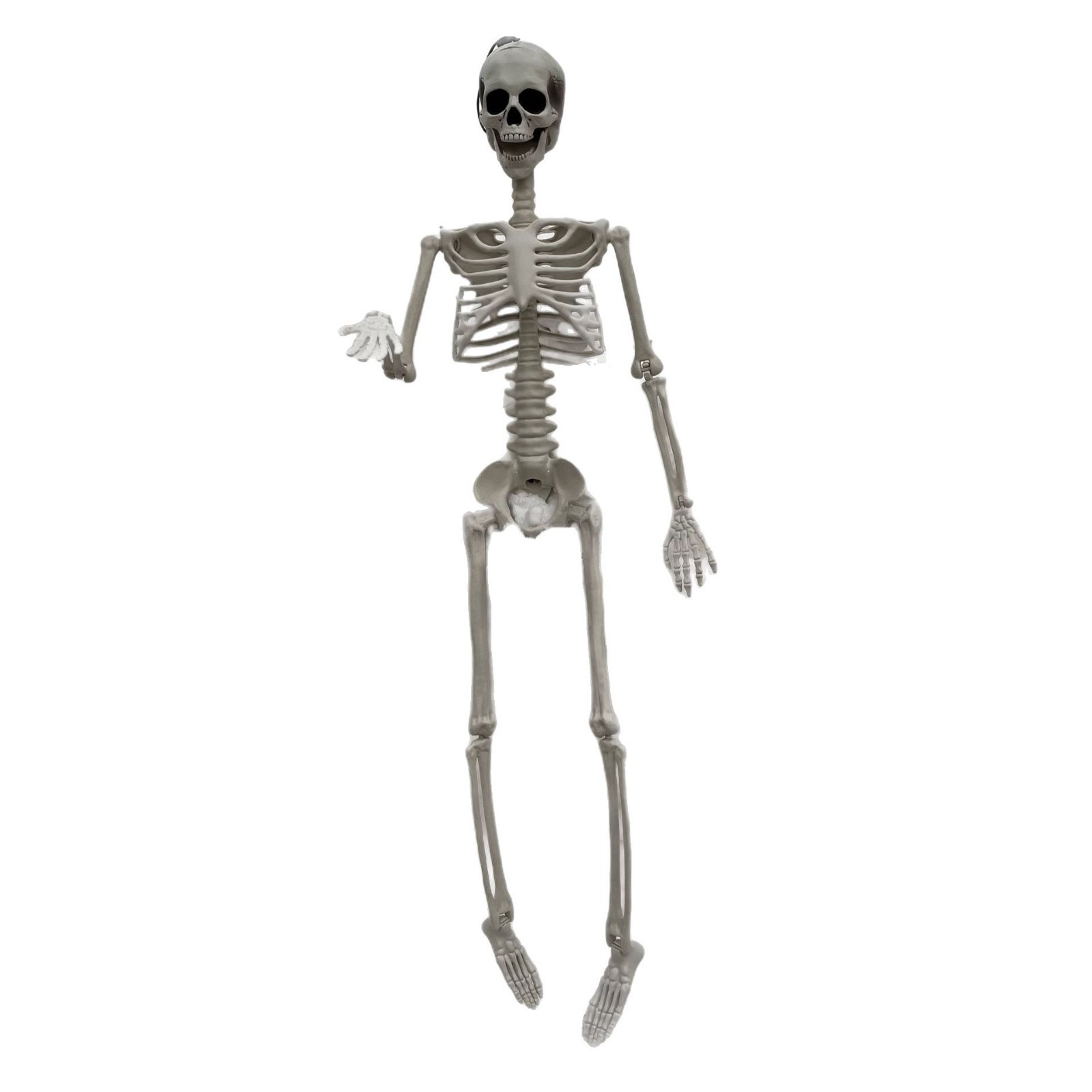 Halloween esqueleto adornos esqueleto simulación fábrica de esqueleto habitaciones embrujadas sitio accesorios al por mayor Amazon