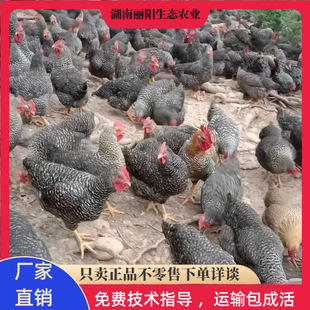 ���ۺ��J���u����w�������r����B�ߵ��u��֧�������Bֳ���gָ��