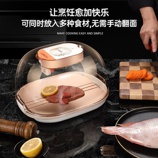 Thermostatic Defrosting Device for Meat and Steak, Heat Conduction Plate for Home Use, Rapid Food Defrosting Device, Detachable, Food-Grade