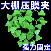 ��Ĥ���w�S�ܱ�Ĥ�̶��AĤ�۱�Ĥ�o�f�܊A������������
