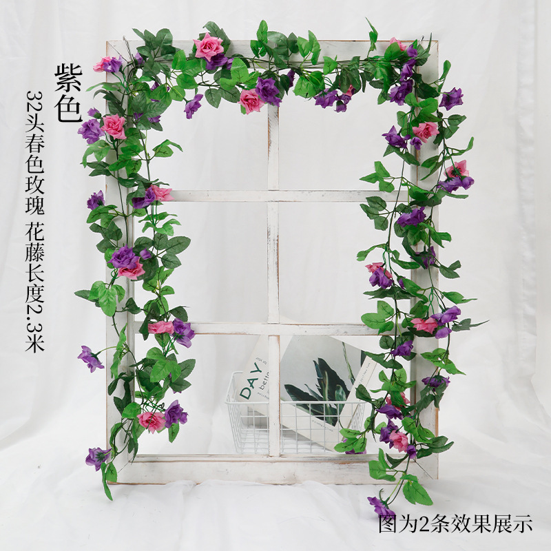 32 장미 덩굴 보라색