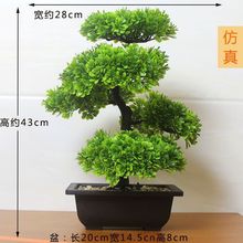 �������ϻ�ӭ���ɼٻ��ߙn�͏d�����p��ins�L�����Ԕ[�Ż�c����