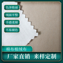 �޲���ֲ�q�����b�Y����нq���S�����l��ճ���z�qů�q����