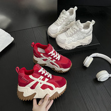 2025¿ϵЬŮ⴩rаٴemƴɫŮ͸W\Ь