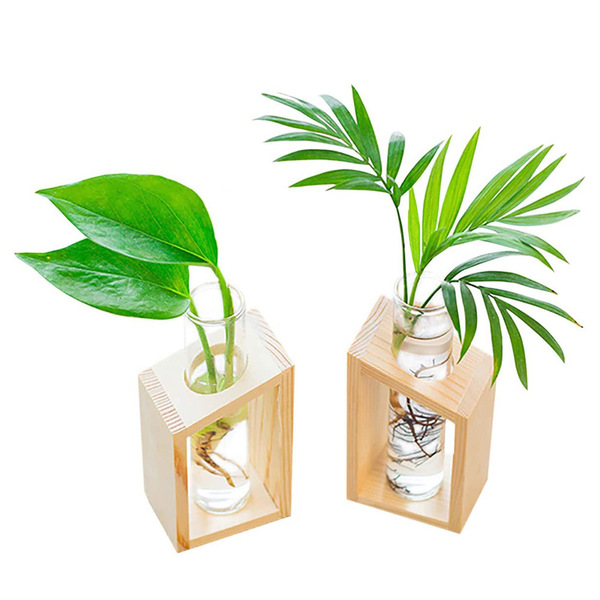 Glass small test tube plants for experiments