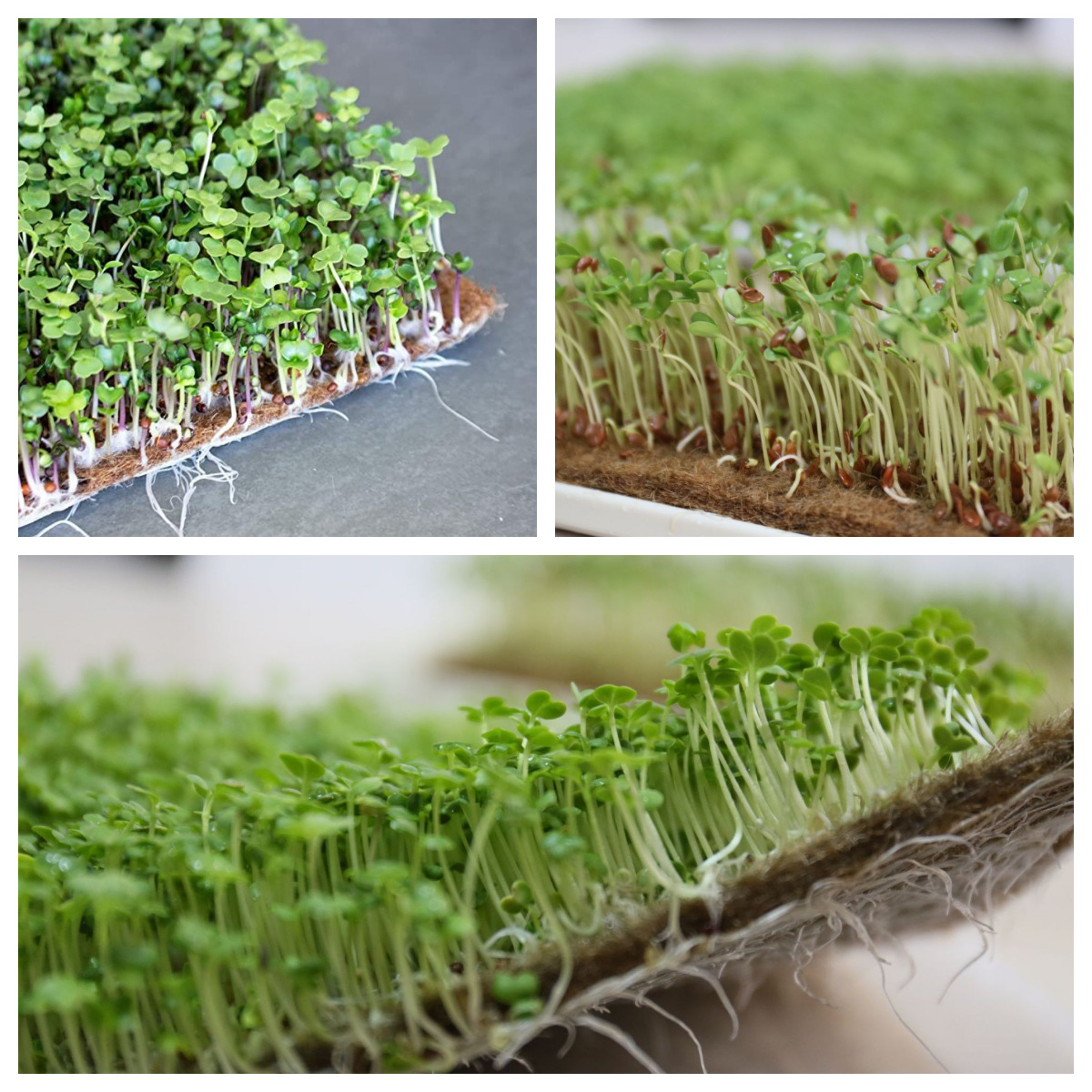 O1CN01taVEck1ey6qWbIYHc_!!2207