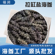 ���������}�������l ��ɺ������l500g�Ǻ�����؛�̅� �����Y���b