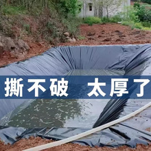 �Ӻ����겼�~�����BĤ��ˮ���o�·�ˮ����Ĥ�Bֳ�ڵ�Ĥ�������L
