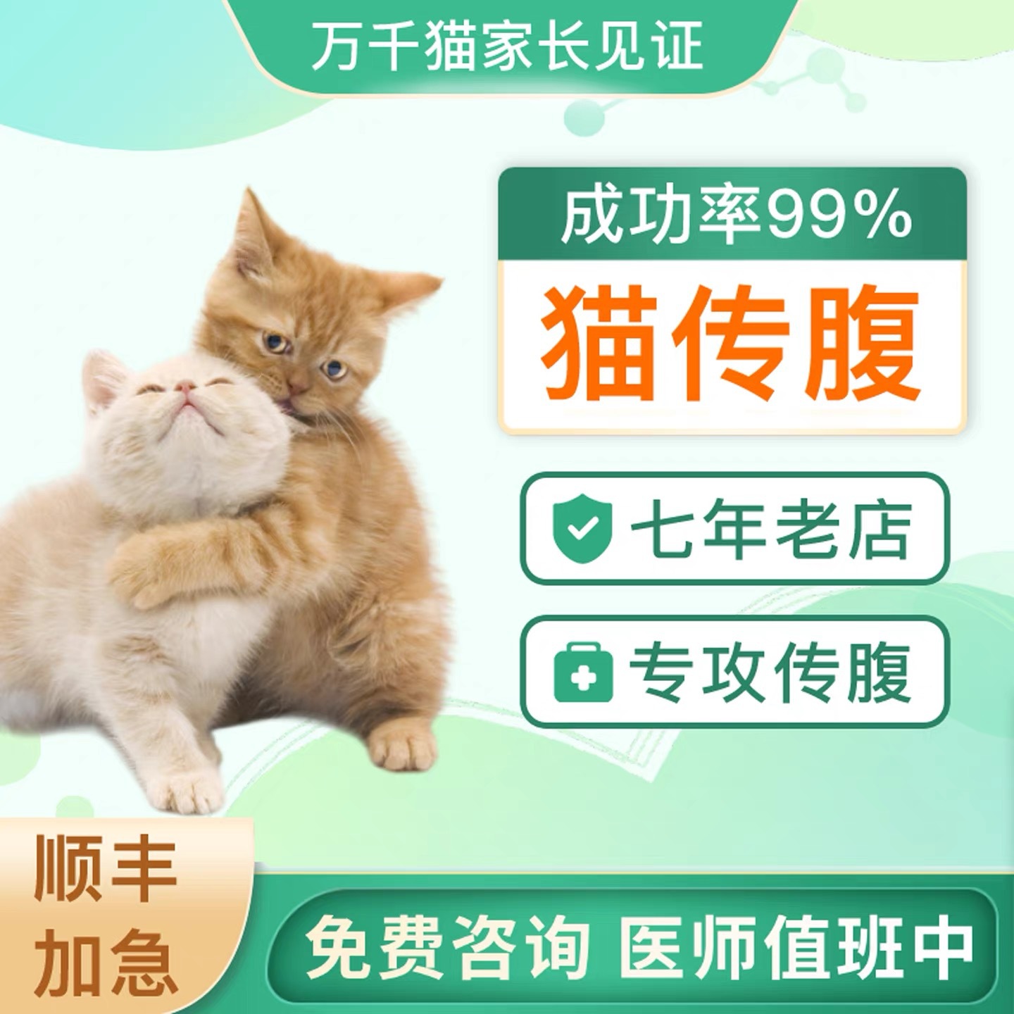 猫传腹干湿性消腹水大肚子营养液针剂口服片剂水油抑制剂fjpv咨询