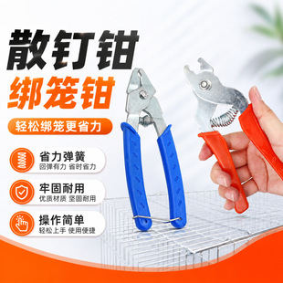 ɢ��Q���\�Q��Ƭ�Q���u�\�û\�B�\���b�Q���\�������\���\�Q��