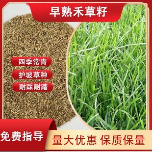 �伾�Ͷ���������̲���߅�¹��̾G���ݵ�ͥԺ�ݷN�ӹ����o�²�Ƥ