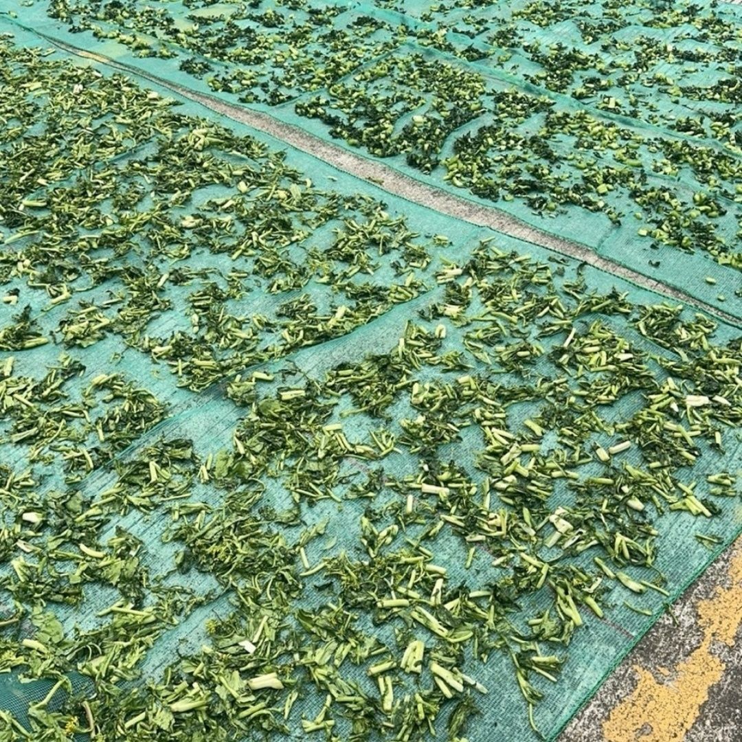 晒菜工具加厚梅干菜油菜籽晾晒网适用凉茶叶芝麻农作物晾晒1.5米