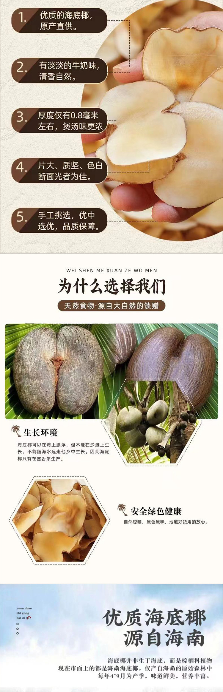 Dried Sea Coconut Slices Hai Di Ye 500g Bulk Herbal Soup Ingredient for Snow Pear Soup and Decoctions quality and texture